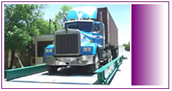 Básculas camioneras: dentro del segmento de las básculas camioneras podemos ofrecerle Básculas camioneras sin fosa, Basculas Camioneras con fosa, Básculas Camioneras con plataforma metálica, Básculas Camioneras con plataforma de Concreto, Básculas para Camión seccionadas para grupos de ejes, Básculas Camioneras con electrónica digital y analógica.